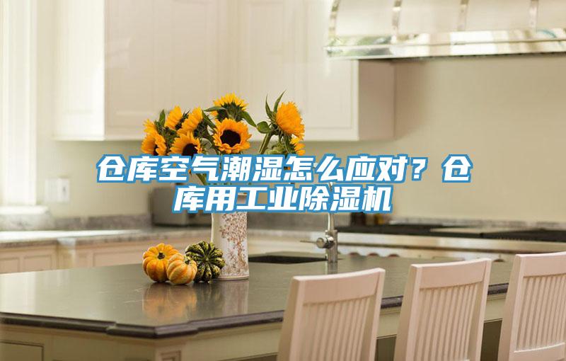 倉庫空氣潮濕怎么應(yīng)對(duì)？倉庫用工業(yè)除濕機(jī)