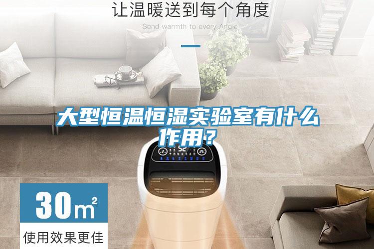 大型恒溫恒濕實驗室有什么作用?