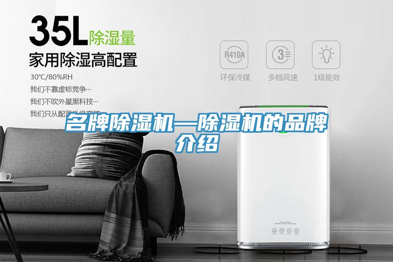 名牌除濕機(jī)—除濕機(jī)的品牌介紹