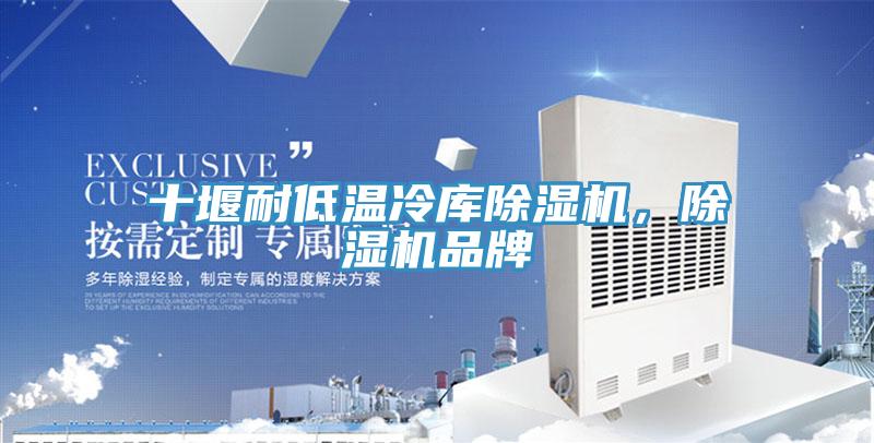 十堰耐低溫冷庫除濕機，除濕機品牌