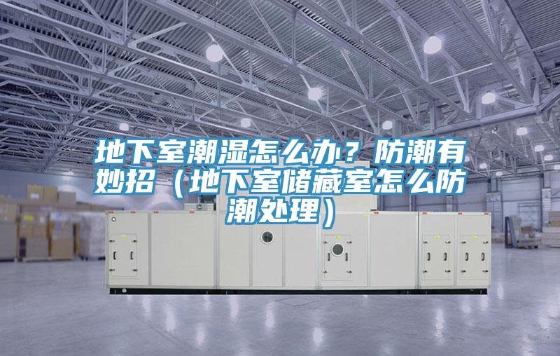 地下室潮濕怎么辦？防潮有妙招（地下室儲藏室怎么防潮處理）