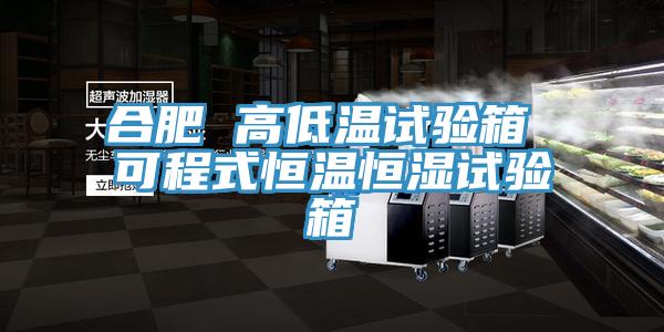 合肥 高低溫試驗箱 可程式恒溫恒濕試驗箱