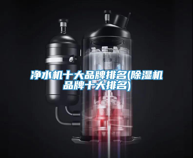 凈水機(jī)十大品牌排名(除濕機(jī)品牌十大排名)