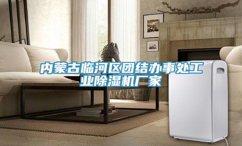 內蒙古臨河區團結辦事處工業除濕機廠家