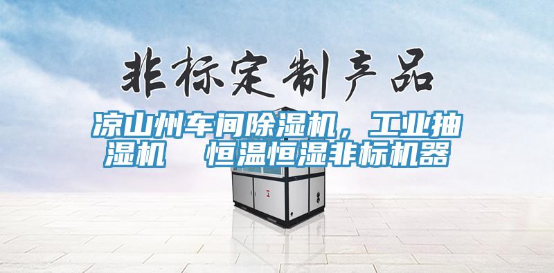 涼山州車間除濕機，工業抽濕機  恒溫恒濕非標機器