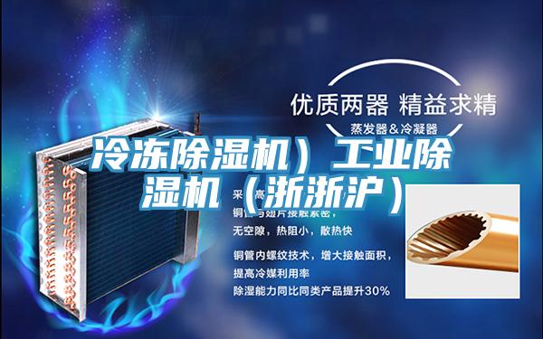 冷凍除濕機）工業(yè)除濕機（浙浙滬）