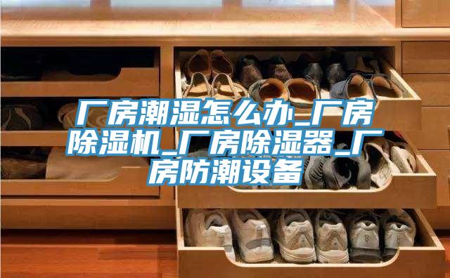 廠房潮濕怎么辦_廠房除濕機(jī)_廠房除濕器_廠房防潮設(shè)備