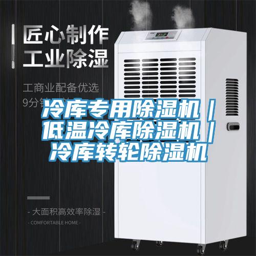 冷庫專用除濕機｜低溫冷庫除濕機｜冷庫轉(zhuǎn)輪除濕機