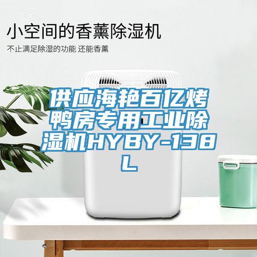 供應海艷百億烤鴨房專用工業除濕機HYBY-138L