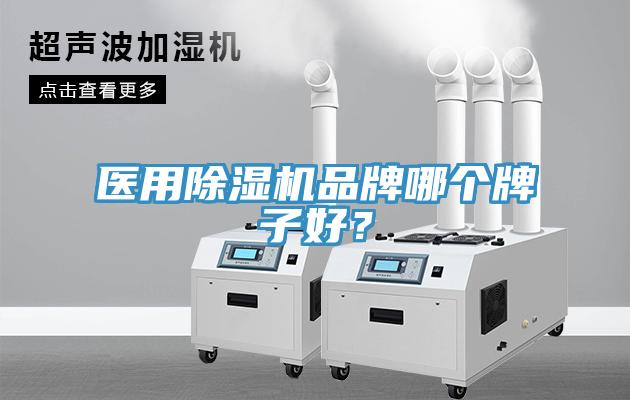 醫用除濕機品牌哪個牌子好？