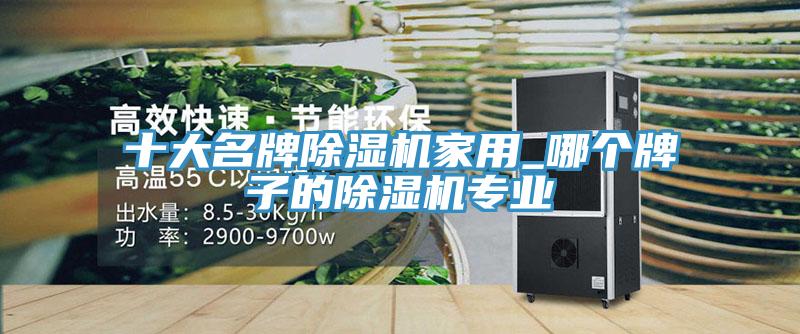 十大名牌除濕機家用_哪個牌子的除濕機專業