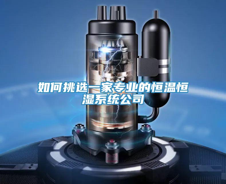 如何挑選一家專業(yè)的恒溫恒濕系統(tǒng)公司