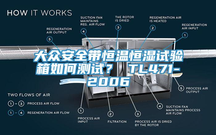 大眾安全帶恒溫恒濕試驗箱如何測試? TL471-2006