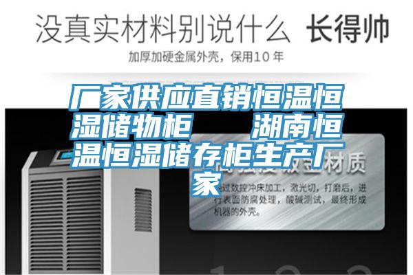 廠家供應(yīng)直銷恒溫恒濕儲(chǔ)物柜   湖南恒溫恒濕儲(chǔ)存柜生產(chǎn)廠家