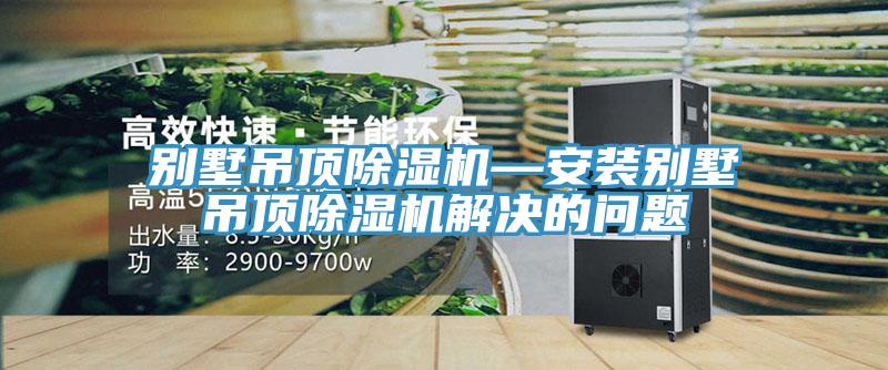 別墅吊頂除濕機(jī)—安裝別墅吊頂除濕機(jī)解決的問(wèn)題