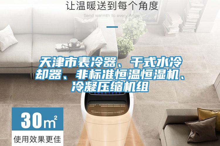 天津市表冷器、干式水冷卻器、非標準恒溫恒濕機、冷凝壓縮機組
