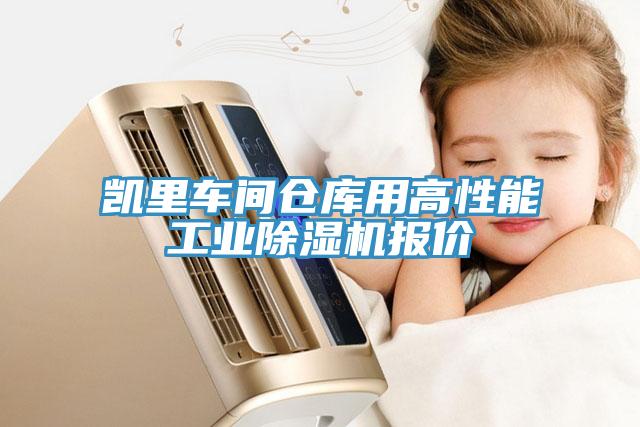 凱里車間倉庫用高性能工業除濕機報價