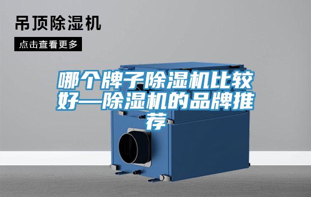 哪個牌子除濕機比較好—除濕機的品牌推薦