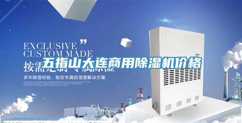 五指山大連商用除濕機價格