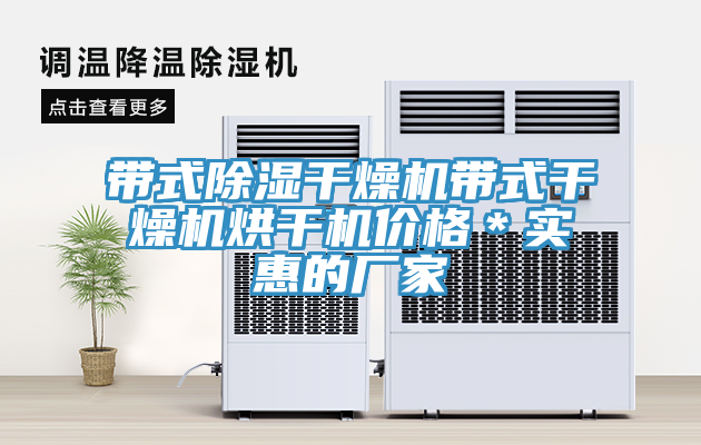 帶式除濕干燥機(jī)帶式干燥機(jī)烘干機(jī)價(jià)格＊實(shí)惠的廠家