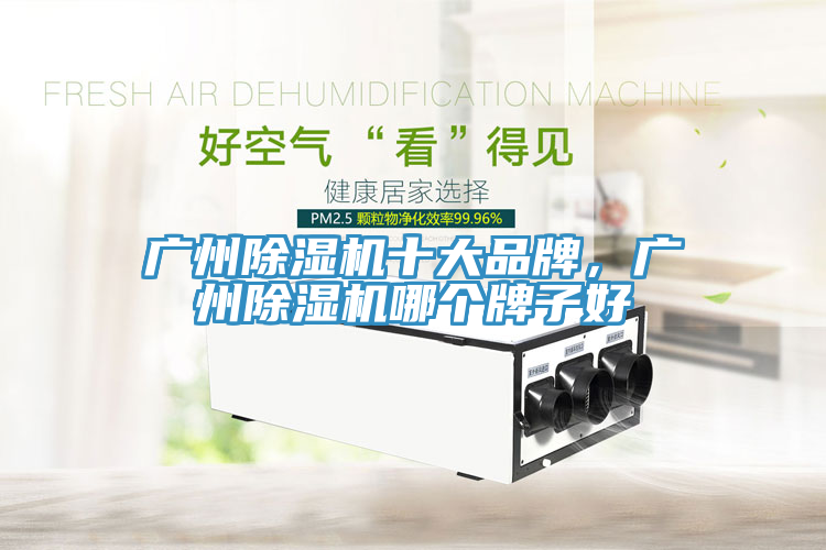 廣州除濕機(jī)十大品牌，廣州除濕機(jī)哪個(gè)牌子好