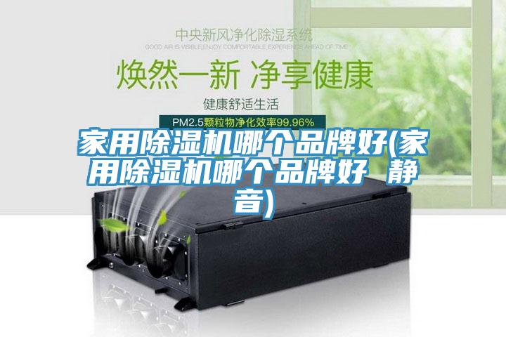 家用除濕機哪個品牌好(家用除濕機哪個品牌好 靜音)