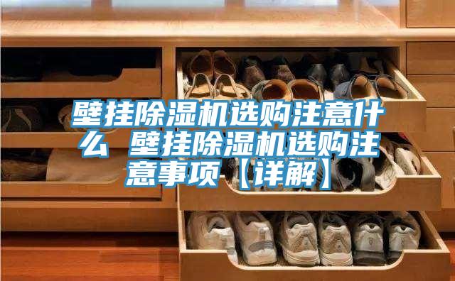 壁掛除濕機(jī)選購(gòu)注意什么 壁掛除濕機(jī)選購(gòu)注意事項(xiàng)【詳解】