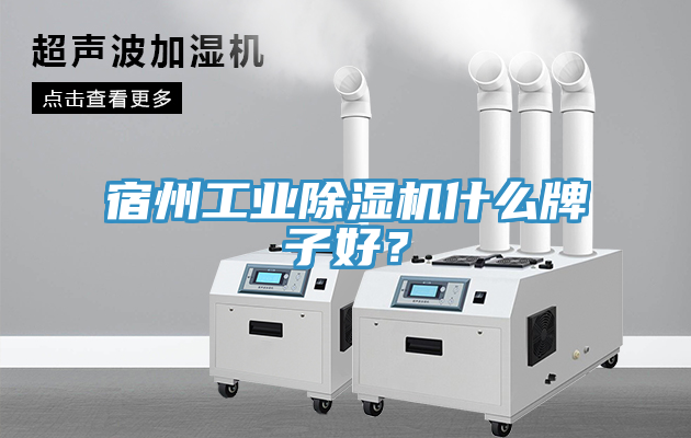 宿州工業除濕機什么牌子好？