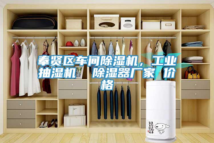 奉賢區車間除濕機，工業抽濕機  除濕器廠家 價格