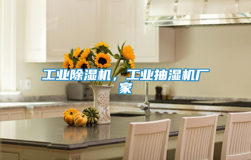 工業(yè)除濕機，工業(yè)抽濕機廠家