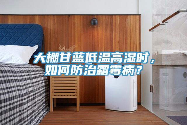 大棚甘藍(lán)低溫高濕時(shí)，如何防治霜霉病？