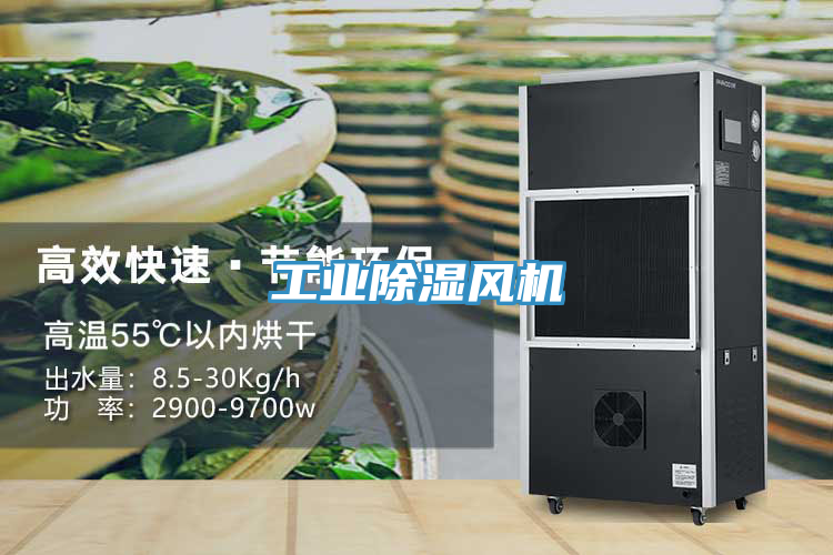 工業(yè)除濕風機