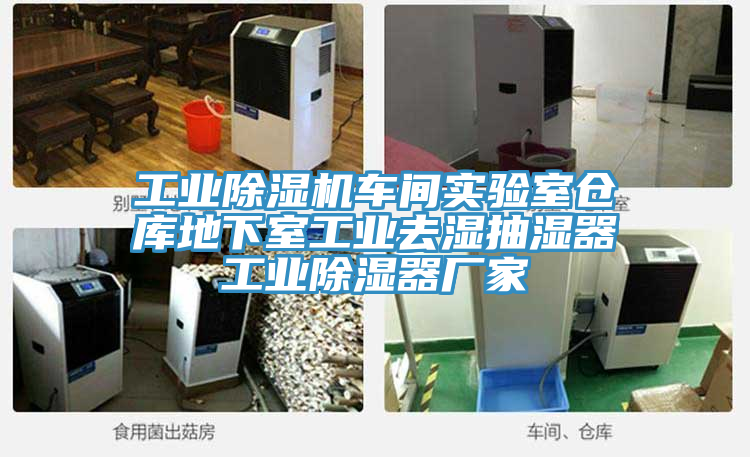 工業(yè)除濕機車間實驗室倉庫地下室工業(yè)去濕抽濕器工業(yè)除濕器廠家