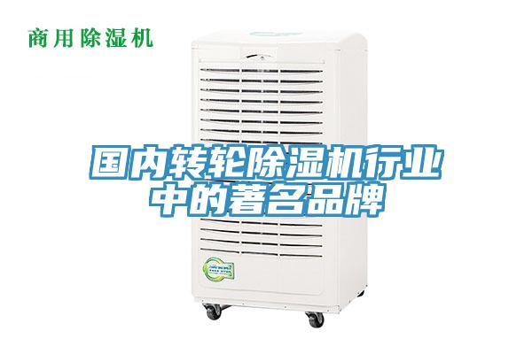 國內(nèi)轉(zhuǎn)輪除濕機行業(yè)中的著名品牌