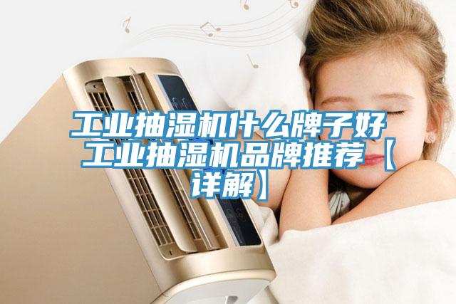 工業(yè)抽濕機(jī)什么牌子好 工業(yè)抽濕機(jī)品牌推薦【詳解】