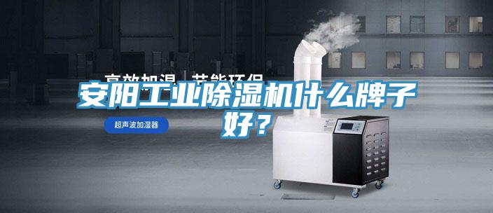 安陽(yáng)工業(yè)除濕機(jī)什么牌子好？