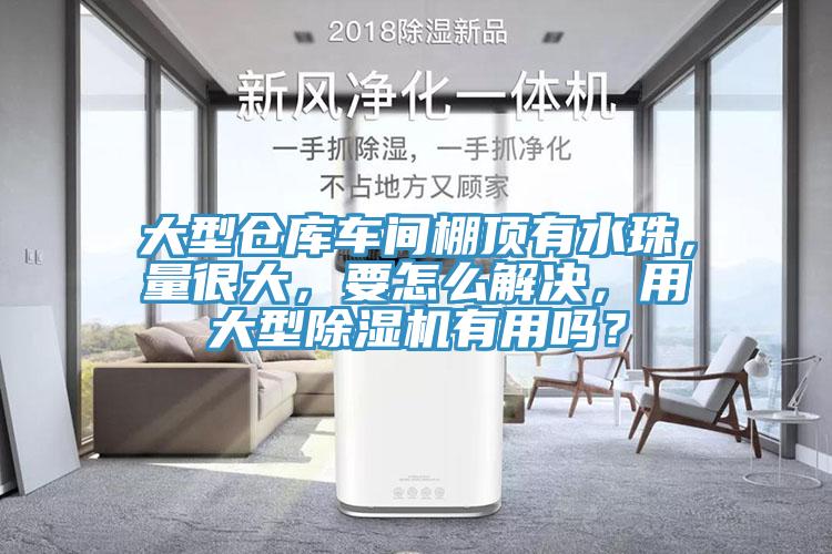 大型倉庫車間棚頂有水珠，量很大，要怎么解決，用大型除濕機有用嗎？