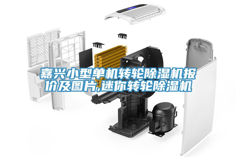 嘉興小型單機轉輪除濕機報價及圖片,迷你轉輪除濕機