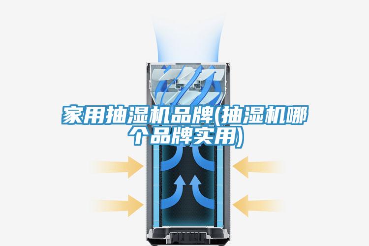 家用抽濕機品牌(抽濕機哪個品牌實用)