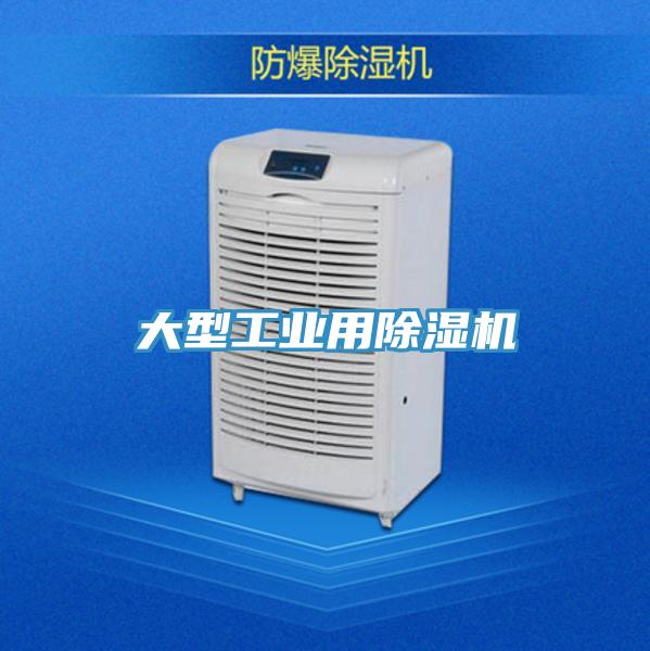 大型工業(yè)用除濕機