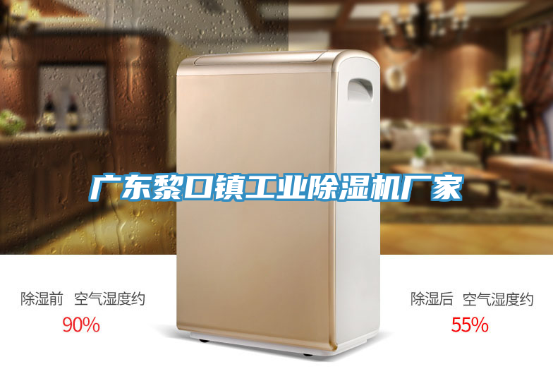 廣東黎口鎮工業除濕機廠家