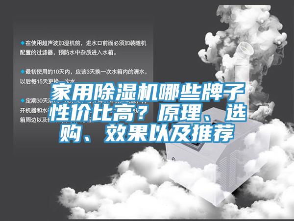 家用除濕機(jī)哪些牌子性價(jià)比高？原理、選購、效果以及推薦