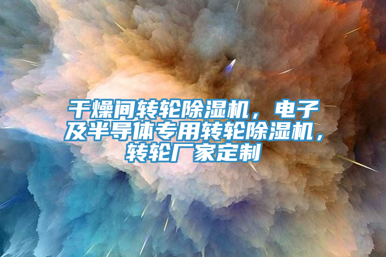 干燥間轉輪除濕機，電子及半導體專用轉輪除濕機，轉輪廠家定制