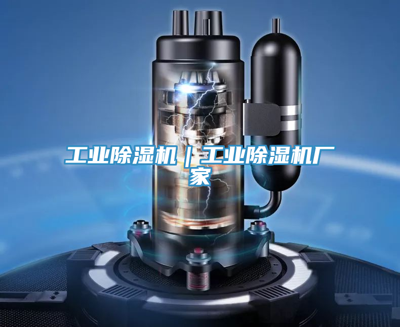 工業(yè)除濕機｜工業(yè)除濕機廠家
