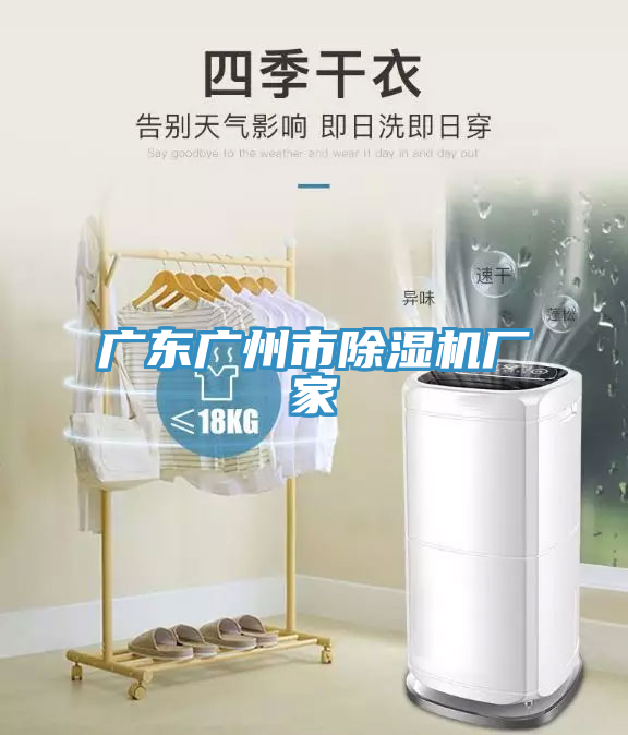 廣東廣州市除濕機廠家