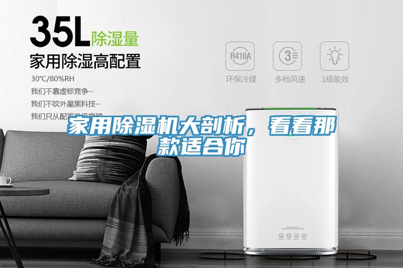 家用除濕機(jī)大剖析，看看那款適合你