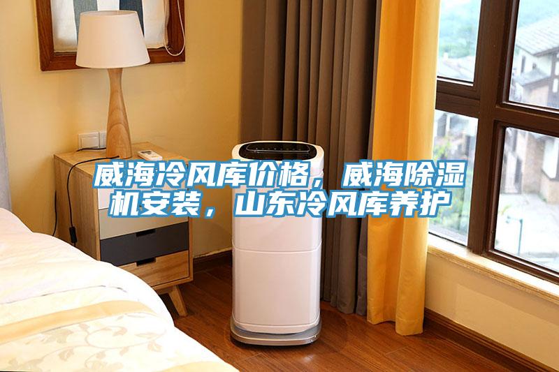 威海冷風(fēng)庫價(jià)格，威海除濕機(jī)安裝，山東冷風(fēng)庫養(yǎng)護(hù)