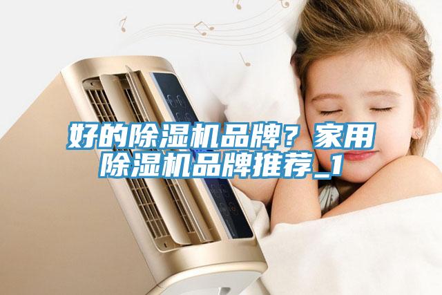 好的除濕機品牌？家用除濕機品牌推薦_1