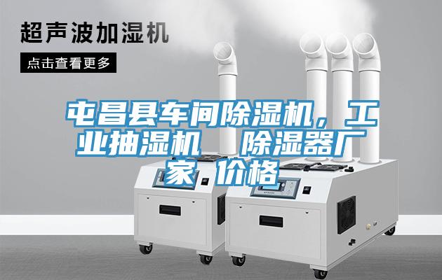 屯昌縣車間除濕機，工業抽濕機  除濕器廠家 價格