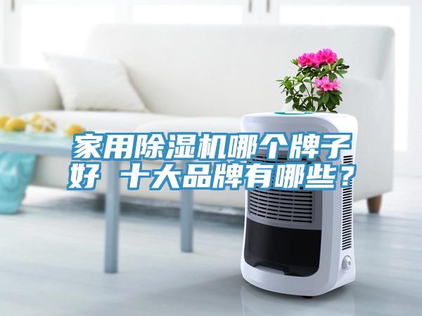 家用除濕機哪個牌子好 十大品牌有哪些？
